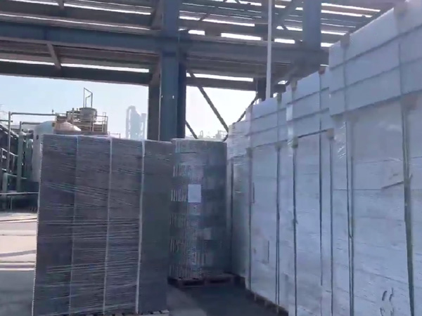 四川福華集團  二乙酯項目，塔內件，填料